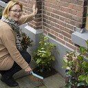 46 buurtinitiatieven uit Zwolle maken hun straat groen tijdens Burendag