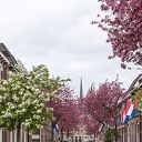 Sobere herdenking Bevrijdingsdag Zwolle
