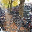 Actieplan gemeente wil Zwollenaren meer laten fietsen