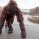 Gorilla zorgt voor verzetje in Zwolse binnenstad