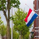 Gemeente Zwolle roept iedereen op om hele dag halfstok te vlaggen