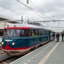 Kameel bezoekt treinstation in Zwolle