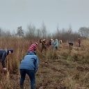 Golfclub Zwolle schenkt 1500 bomen in kader van klimaatbeleid Nederland