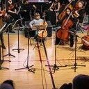 Vuurvogel OpStreek zoekt jonge violisten en cellisten voor nieuw project