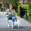 Dierenbescherming zoekt wijkhoofden in Zwolle