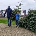 Zwolse kinderen verzamelen bijna 10.000 kerstbomen